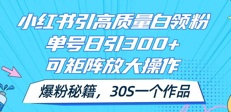 小红书引高质量白领粉，单号日引300+，可放大操作，爆粉秘籍！30s一个作品-炫知网