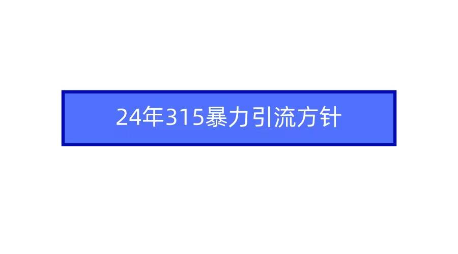 2024年315暴力引流方针-炫知网