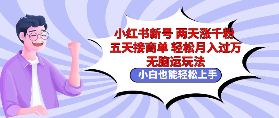 小红书新号两天涨千粉五天接商单轻松月入过万 无脑搬运玩法 小白也能轻...-炫知网