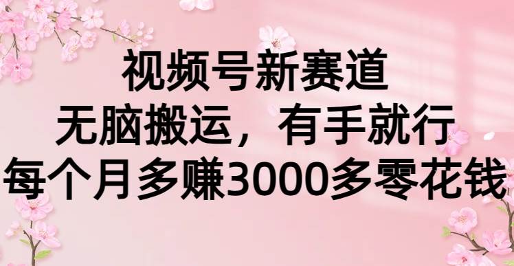 视频号新赛道，无脑搬运，有手就行，每个月多赚3000多零花钱-炫知网