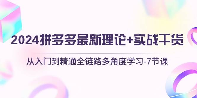 2024拼多多 最新理论+实战干货，从入门到精通全链路多角度学习-7节课-炫知网