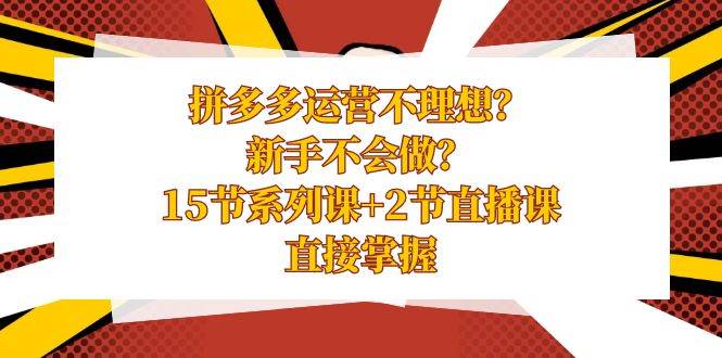 拼多多运营不理想？新手不会做？15节系列课+2节直播课，直接掌握-炫知网