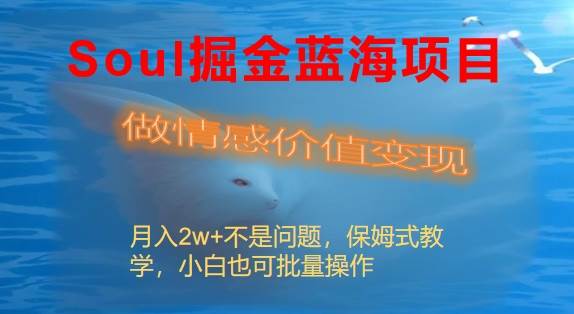 Soul掘金蓝海项目细分赛道，做情感价值变现，月入2w+不是问题-炫知网