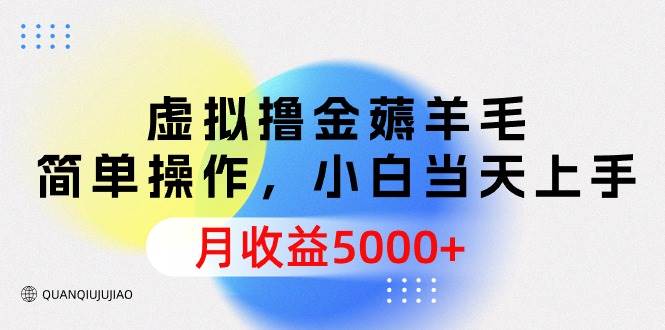 虚拟撸金薅羊毛，简单操作，小白当天上手，月收益5000+-炫知网