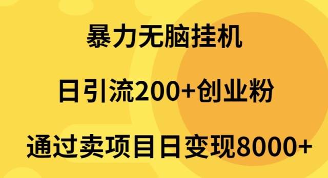 暴力无脑挂机日引流200+创业粉通过卖项目日变现2000+-炫知网