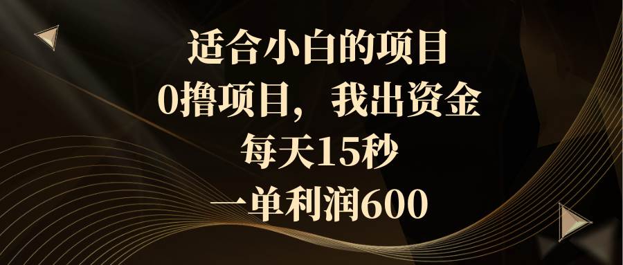 适合小白的项目，0撸项目，我出资金，每天15秒，一单利润600-炫知网