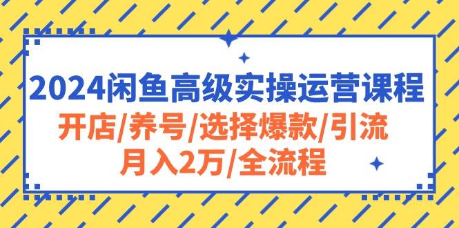 2024闲鱼高级实操运营课程：开店/养号/选择爆款/引流/月入2万/全流程-炫知网