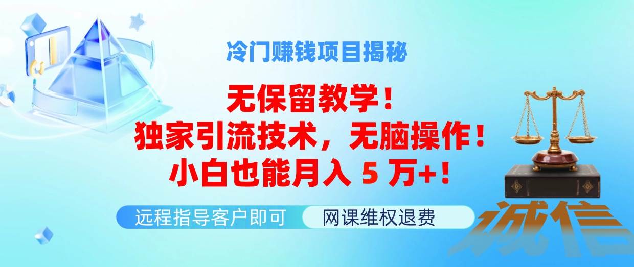 冷门赚钱项目无保留教学！独家引流技术，无脑操作！小白也能月入5万+！-炫知网