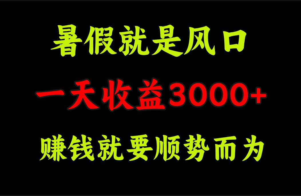 一天收益3000+ 赚钱就是顺势而为，暑假就是风口-炫知网