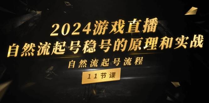 2024游戏直播-自然流起号稳号的原理和实战，自然流起号流程（11节）-炫知网