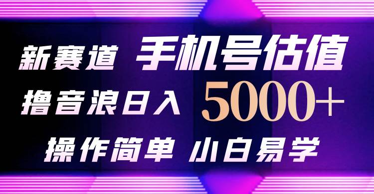 抖音不出境直播【手机号估值】最新撸音浪，日入5000+，简单易学，适合...-炫知网