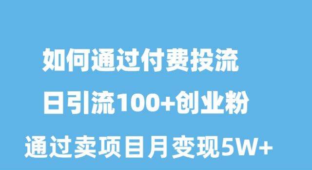 如何通过付费投流日引流100+创业粉月变现5W+-炫知网