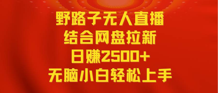 无人直播野路子结合网盘拉新，日赚2500+多平台变现，小白无脑轻松上手操作-炫知网