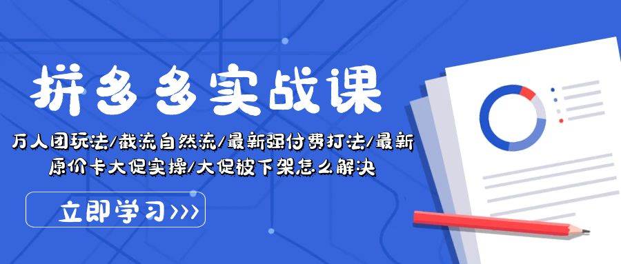 拼多多·实战课：万人团玩法/截流自然流/最新强付费打法/最新原价卡大促..-炫知网