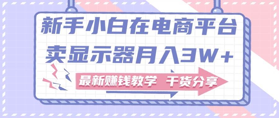 新手小白如何做到在电商平台卖显示器月入3W+，最新赚钱教学干货分享-炫知网