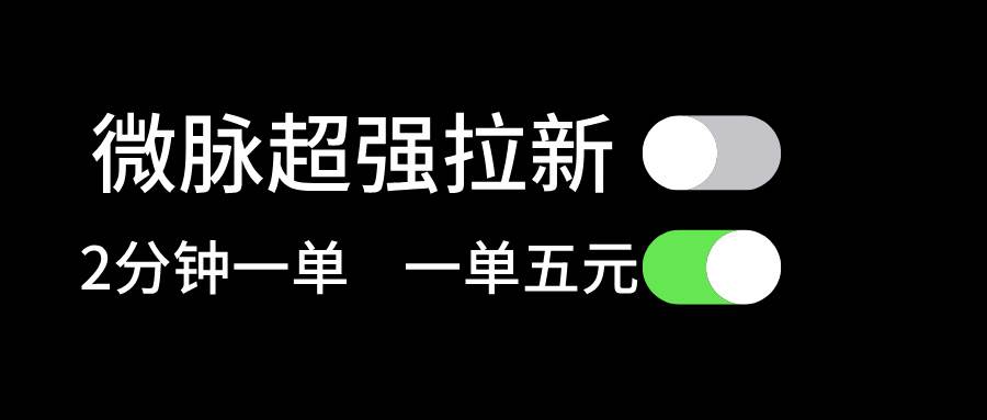 微脉超强拉新， 两分钟1单， 一单利润5块，适合小白-炫知网