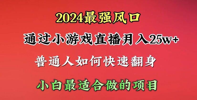 2024年最强风口，通过小游戏直播月入25w+单日收益5000+小白最适合做的项目-炫知网