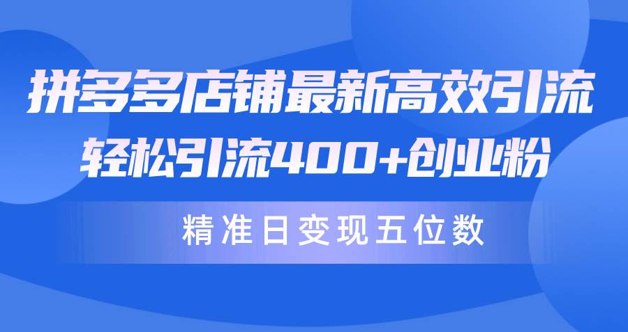 拼多多店铺最新高效引流术，轻松引流400+创业粉，精准日变现五位数！-炫知网