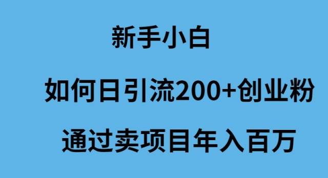 新手小白如何日引流200+创业粉通过卖项目年入百万-炫知网