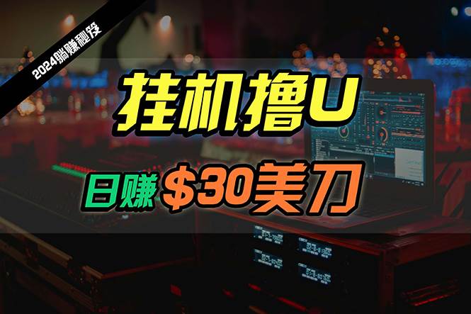 日赚30美刀，2024最新海外挂机撸U内部项目，全程无人值守，可批量放大-炫知网