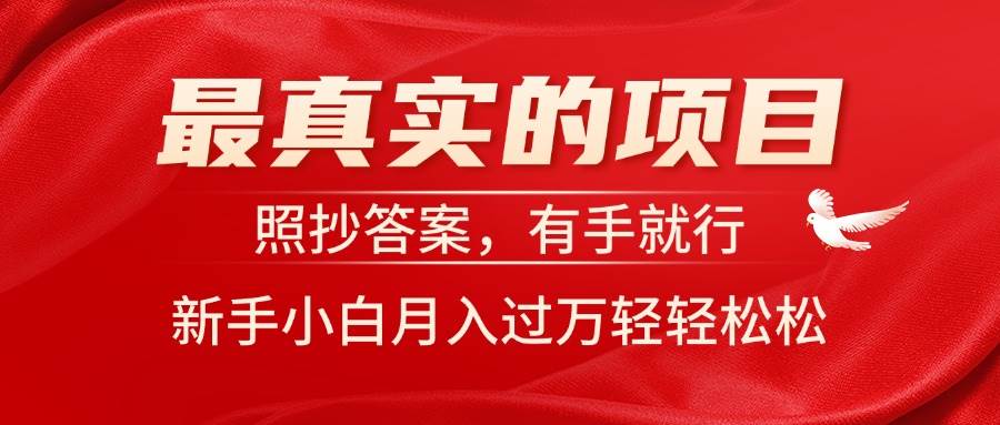 最真实的项目，照抄答案，有手就行，新手小白月入过万轻轻松松-炫知网