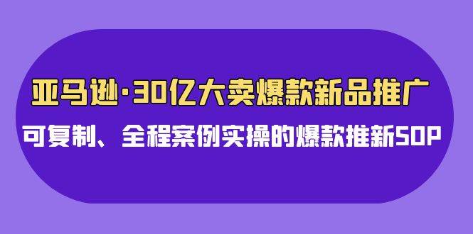 亚马逊30亿·大卖爆款新品推广，可复制、全程案例实操的爆款推新SOP-炫知网