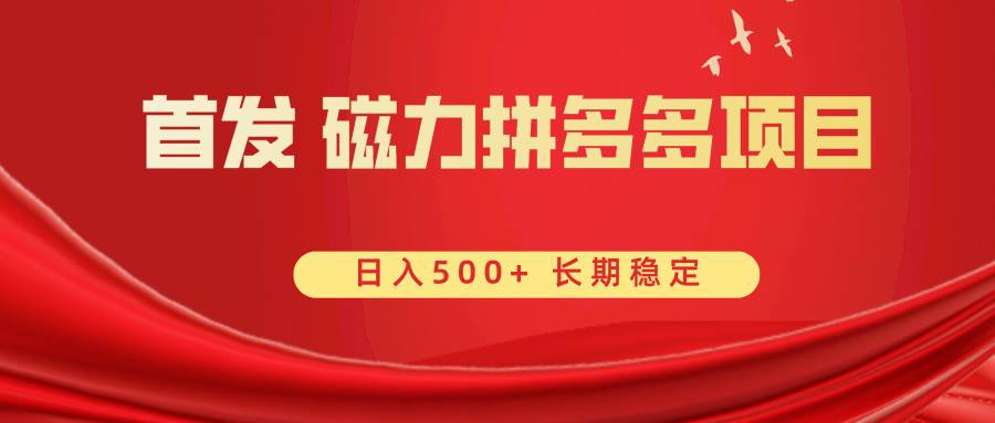 首发 磁力拼多多自撸  日入500+-炫知网