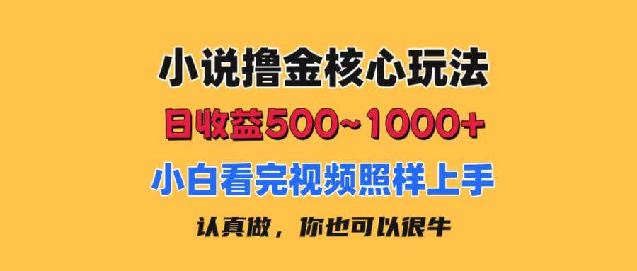 小说撸金核心玩法，日收益500-1000+，小白看完照样上手，0成本有手就行-炫知网