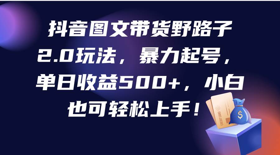 抖音图文带货野路子2.0玩法，暴力起号，单日收益500+，小白也可轻松上手！-炫知网