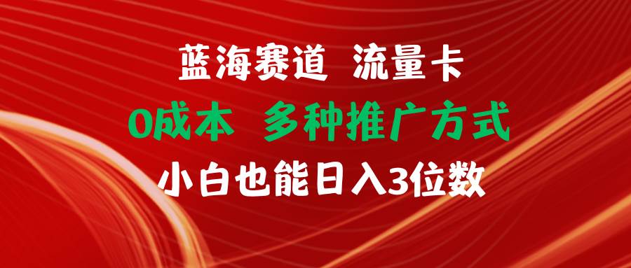 图片[1]-蓝海赛道 流量卡 0成本 小白也能日入三位数-炫知网