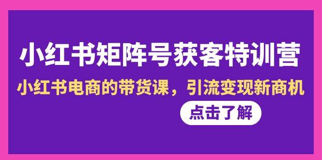 小红书-矩阵号获客特训营-第10期，小红书电商的带货课，引流变现新商机-炫知网