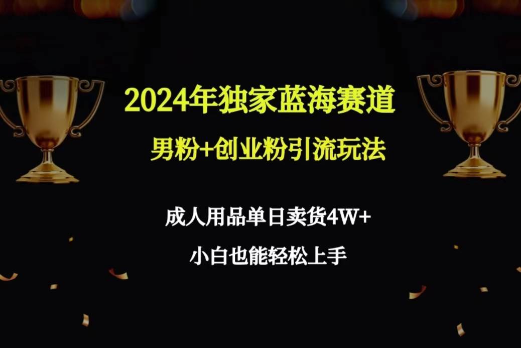 2024年独家蓝海赛道男粉+创业粉引流玩法，成人用品单日卖货4W+保姆教程-炫知网