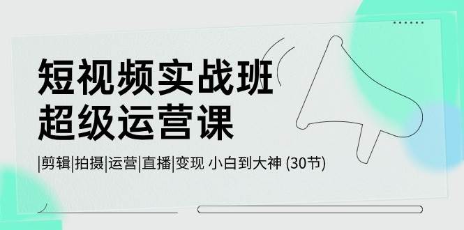 短视频实战班-超级运营课，|剪辑|拍摄|运营|直播|变现 小白到大神 (30节)-炫知网