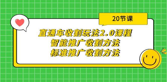 直通车收割玩法2.0课程：智能推广收割方法+标准推广收割方法（20节课）-炫知网