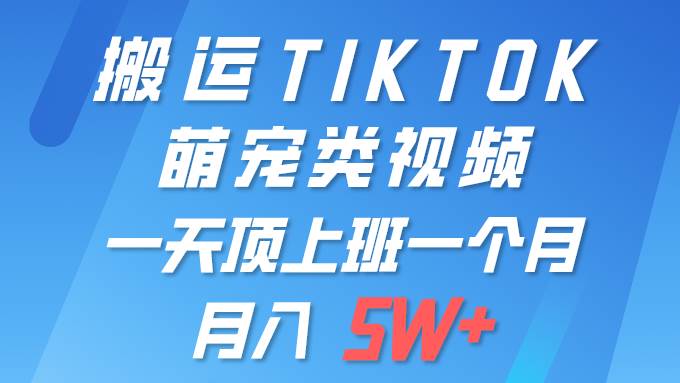 一键搬运TIKTOK萌宠类视频 一部手机即可操作 所有平台均可发布 轻松月入5W+-炫知网