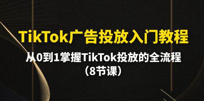 TikTok广告投放入门教程，从0到1掌握TikTok投放的全流程（8节课）-炫知网