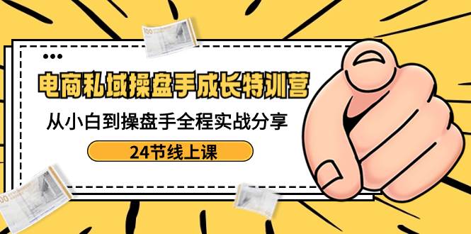 电商私域-操盘手成长特训营：从小白到操盘手全程实战分享-24节线上课-炫知网