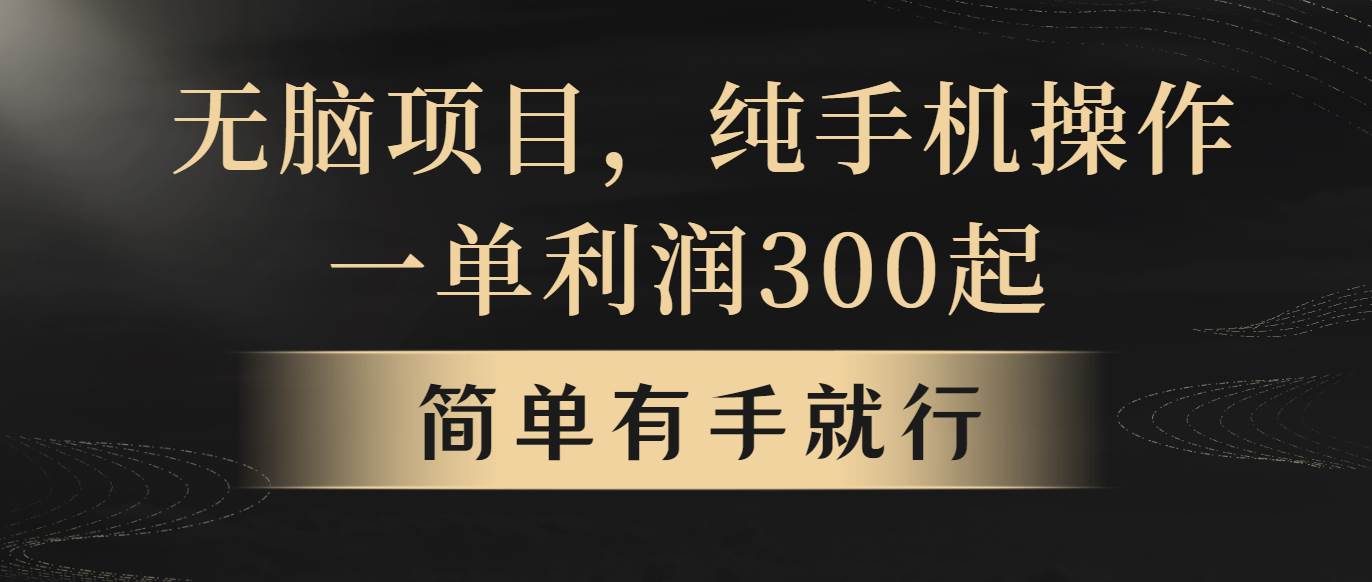 无脑项目，一单几百块，轻松月入5w+，看完就能直接操作-炫知网