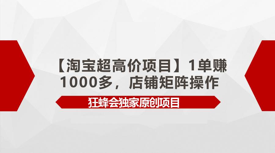 【淘宝超高价项目】1单赚1000多，店铺矩阵操作-炫知网