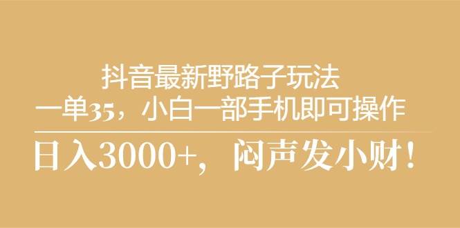 抖音最新野路子玩法，一单35，小白一部手机即可操作，，日入3000+，闷...-炫知网