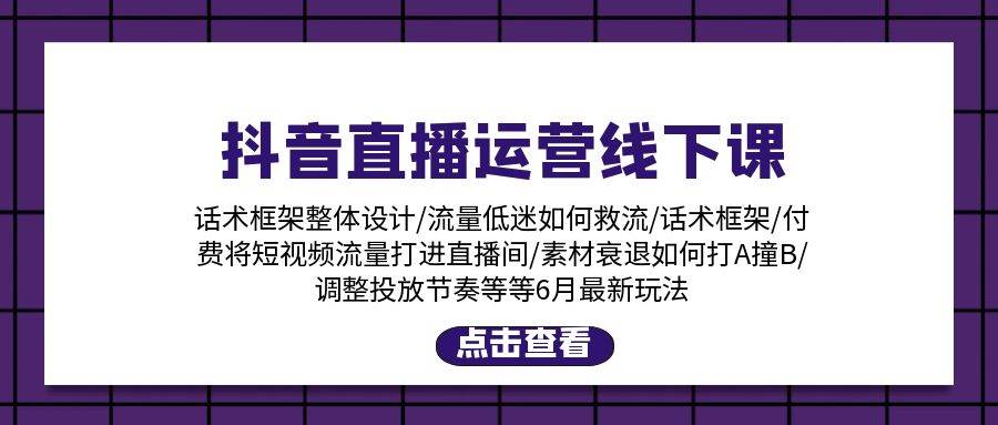 抖音直播运营线下课：话术框架/付费流量直播间/素材A撞B/等6月新玩法-炫知网