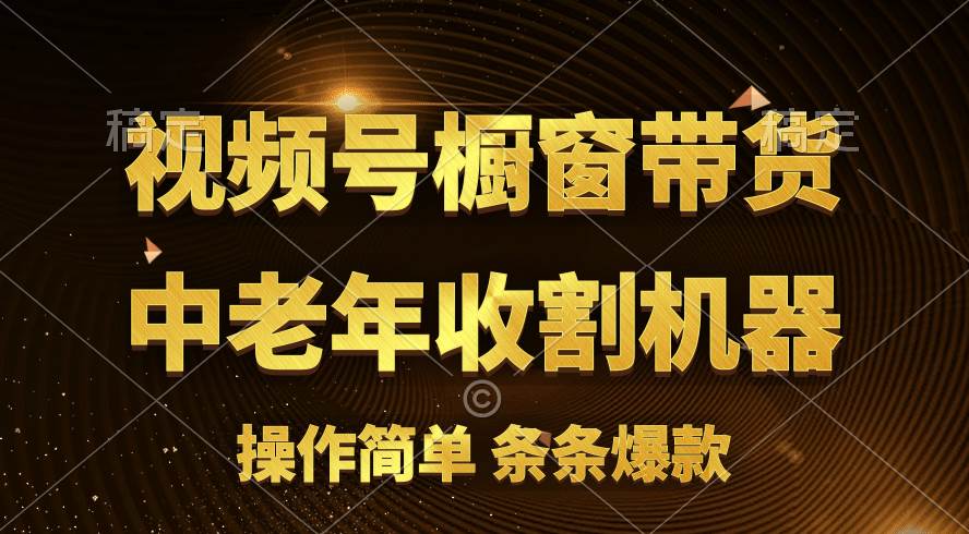 [你的孩子成功取得高位]视频号最火爆赛道，橱窗带货，流量分成计划，条...-炫知网