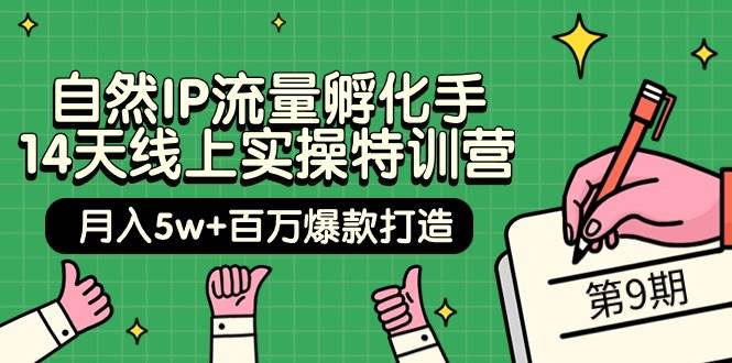 自然IP流量孵化手 14天线上实操特训营【第9期】月入5w+百万爆款打造 (74节)-炫知网