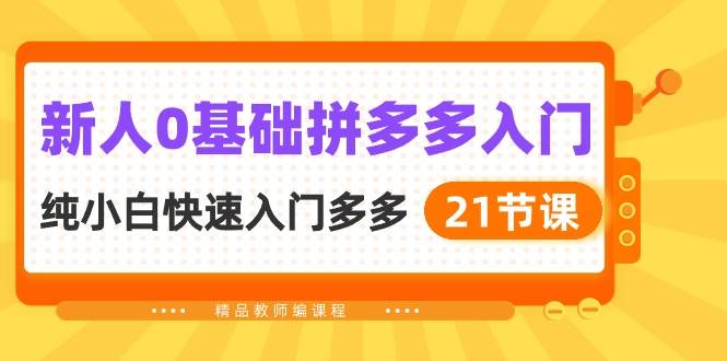 新人0基础拼多多入门，纯小白快速入门多多（21节课）-炫知网