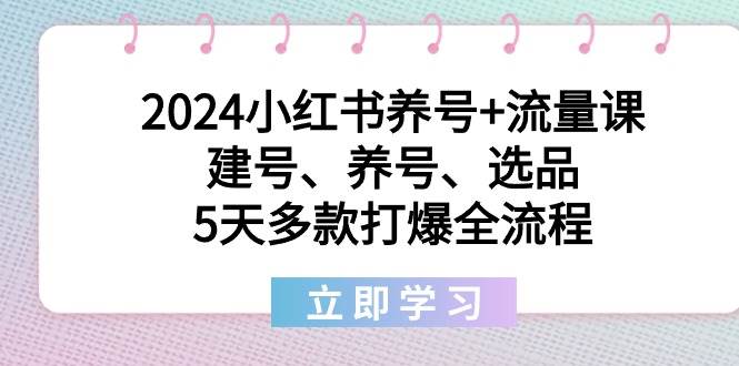 2024小红书养号+流量课：建号、养号、选品，5天多款打爆全流程-炫知网