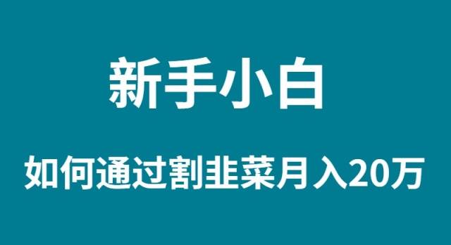 新手小白如何通过割韭菜月入 20W-炫知网