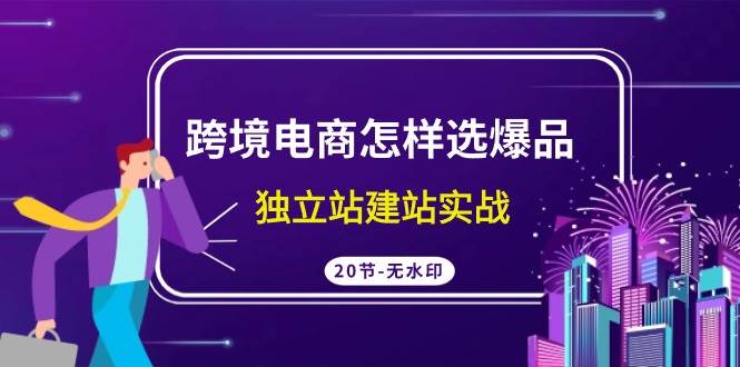 跨境电商怎样选爆品，独立站建站实战（20节高清无水印课）-炫知网