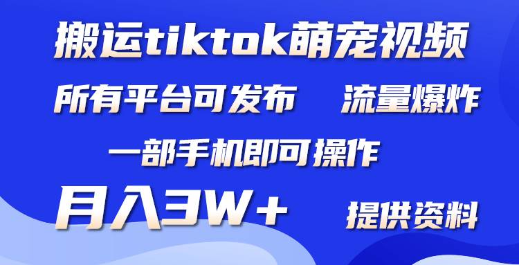 搬运Tiktok萌宠类视频，一部手机即可。所有短视频平台均可操作，月入3W+-炫知网