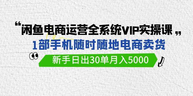 闲鱼电商运营全系统VIP实战课，1部手机随时随地卖货，新手日出30单月入5000-炫知网