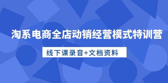 淘系电商全店动销经营模式特训营，线下课录音+文档资料-炫知网